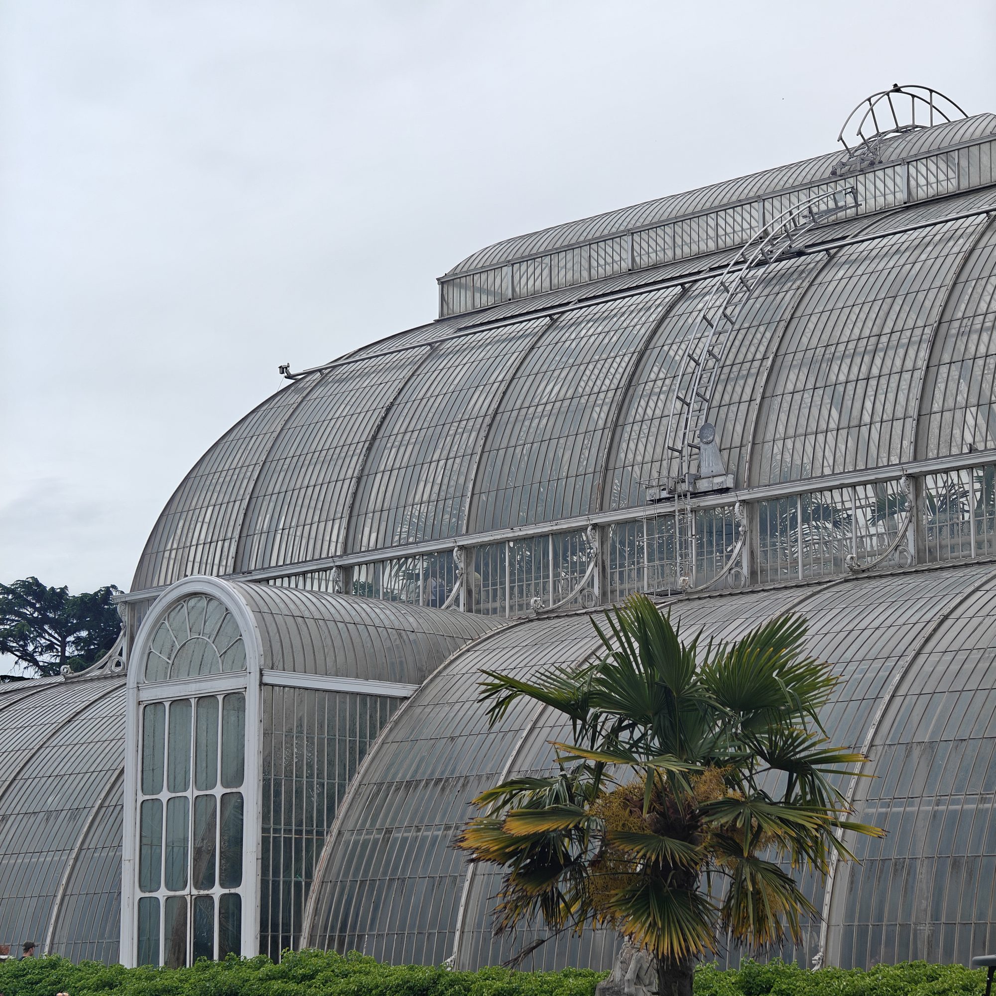 The Palm House