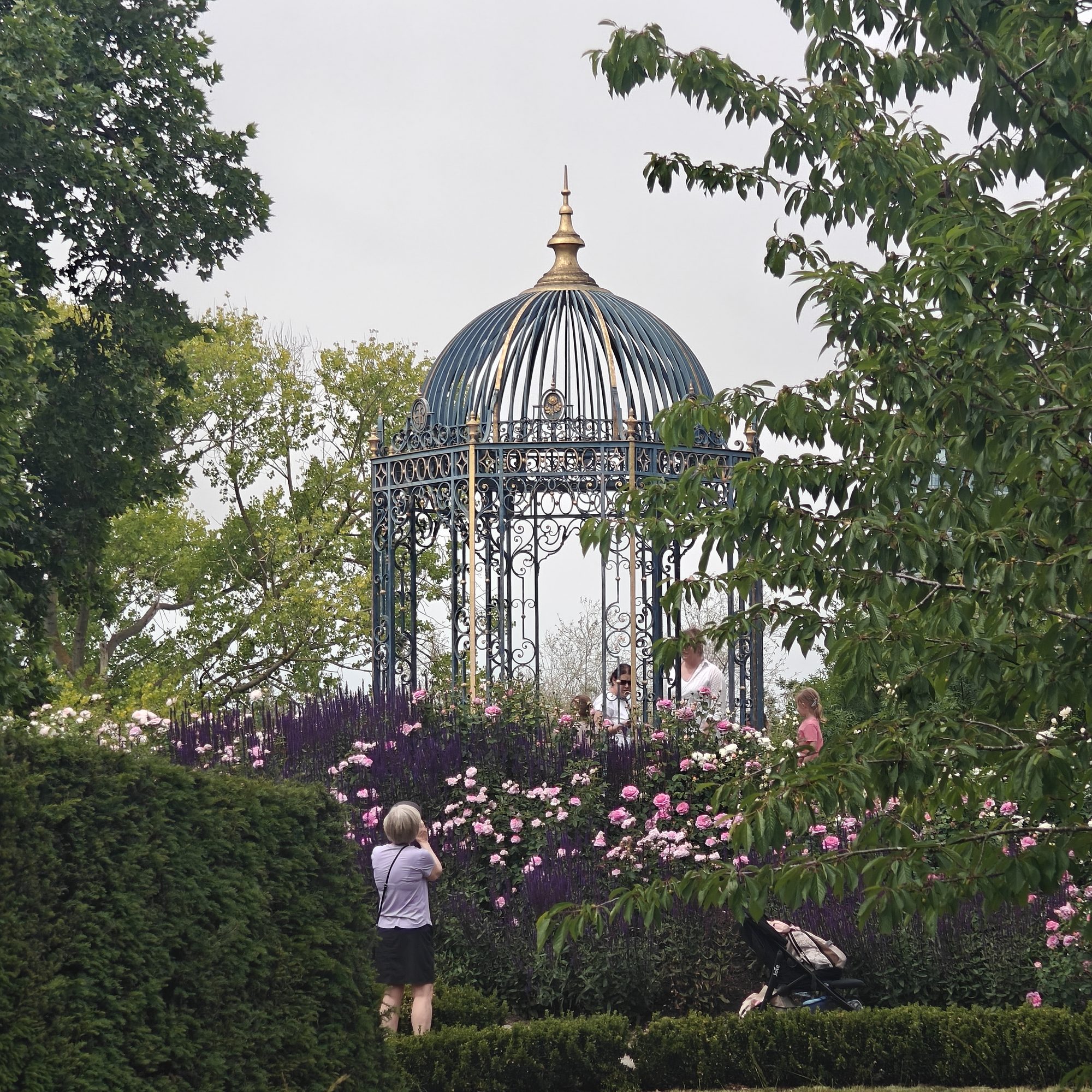 The aviary